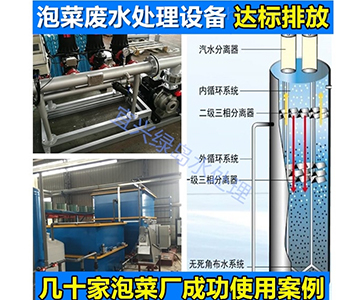 FL泡菜廢水處理設備 廠家直供